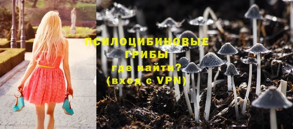 твердый Осинники