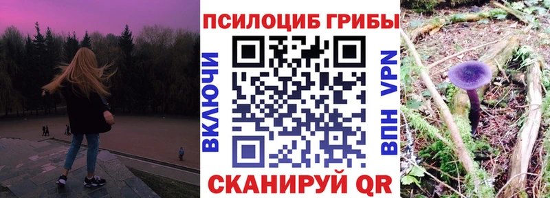 blacksprut маркетплейс  Бодайбо  Псилоцибиновые грибы GOLDEN TEACHER 